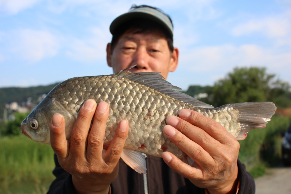 [ũ⺯ȯ]IMG_4584.JPG