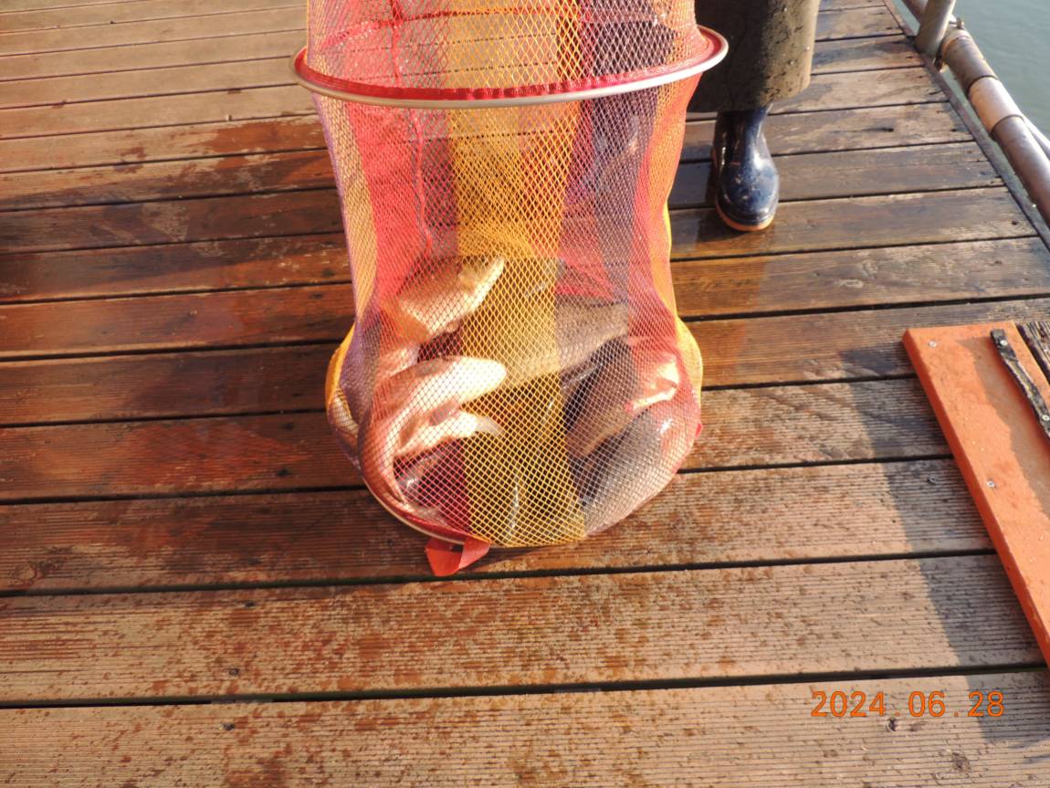 DSCN4613.JPG
