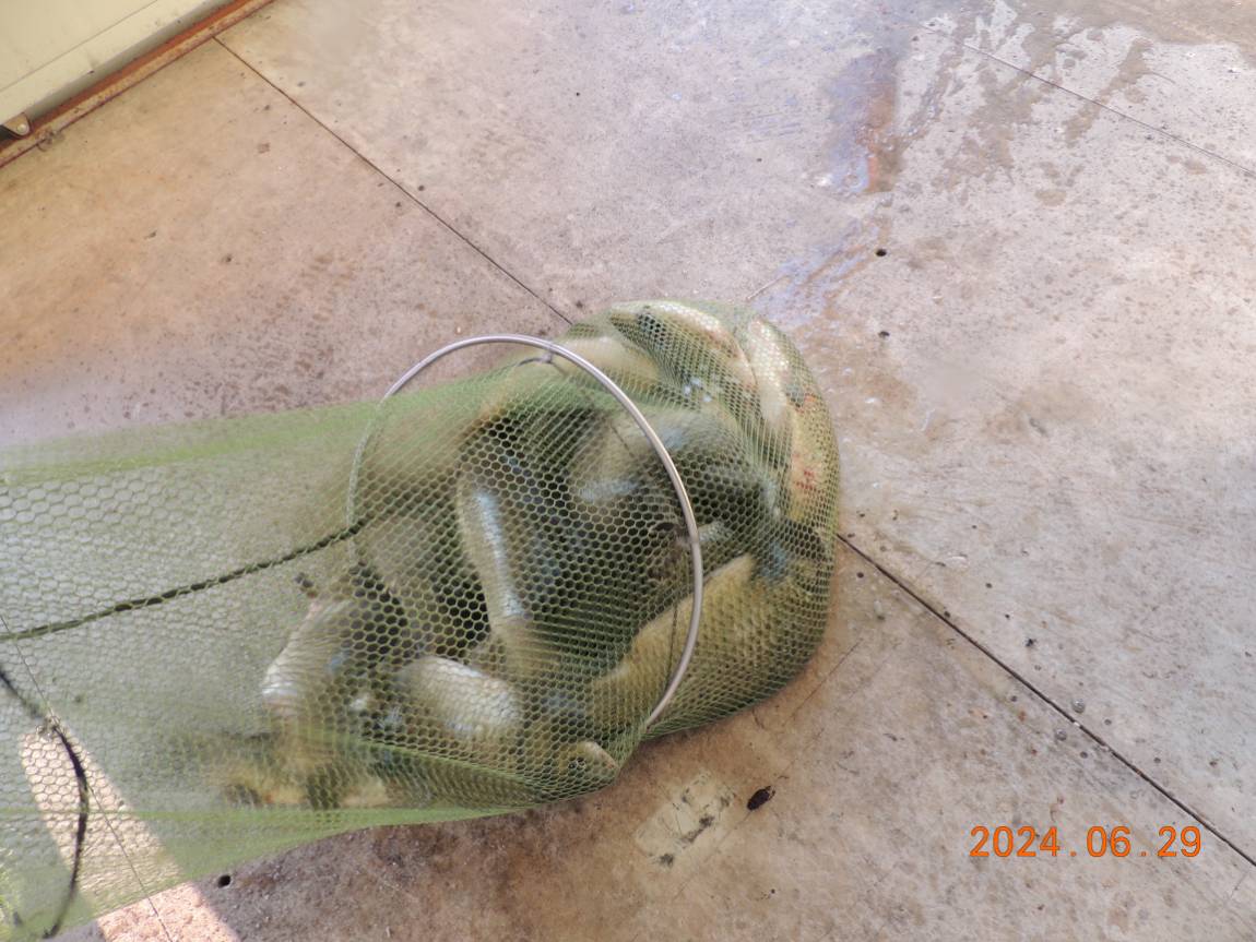 DSCN4684.JPG