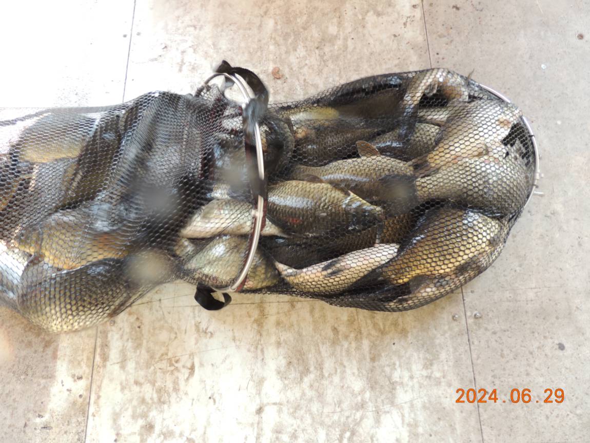 DSCN4705.JPG
