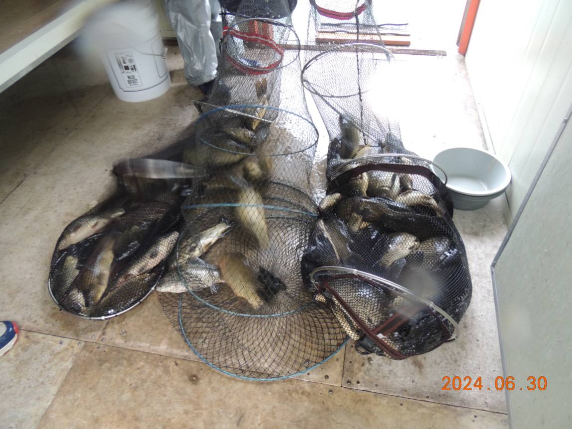 DSCN4766.JPG