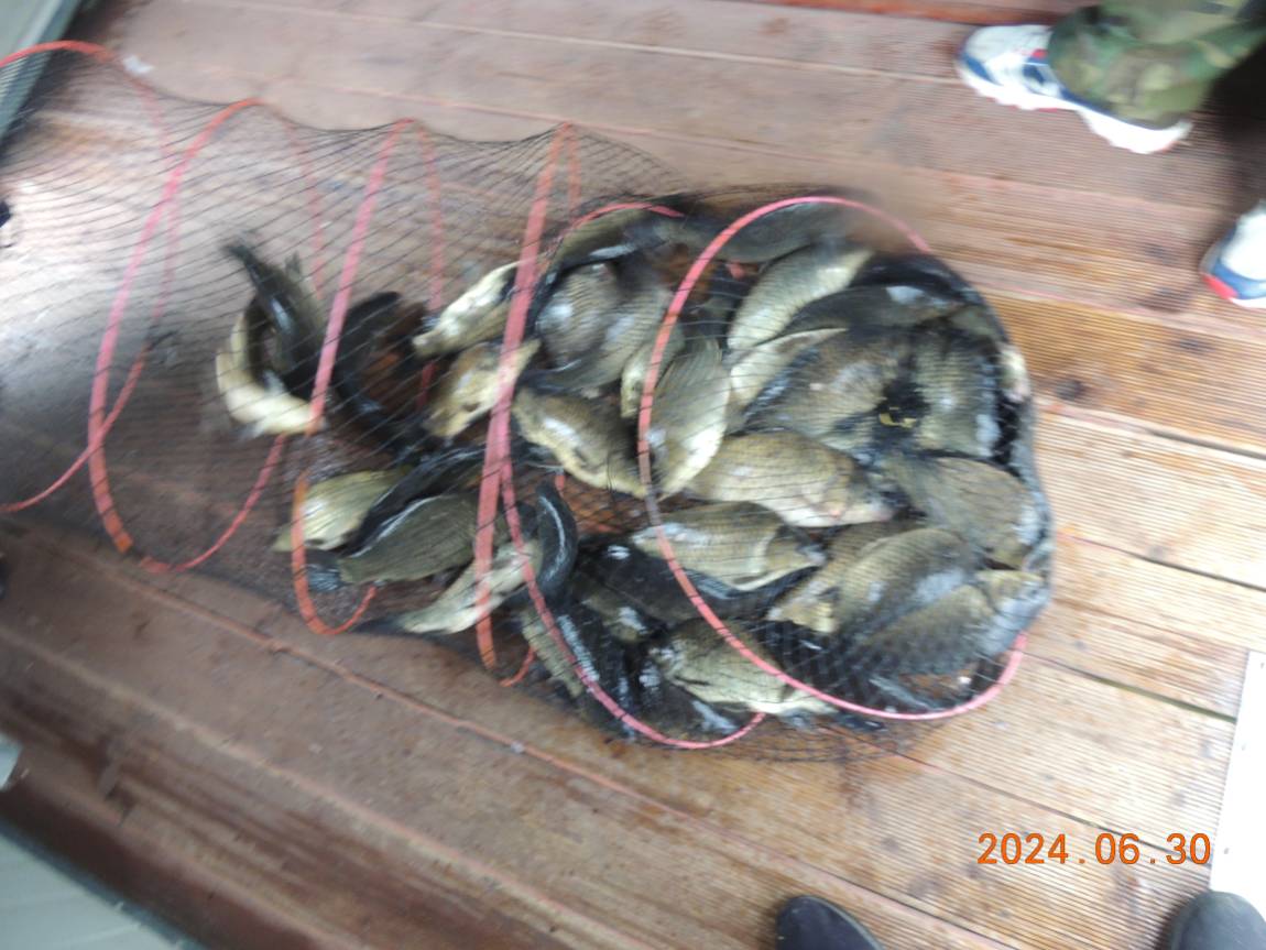 DSCN4786.JPG
