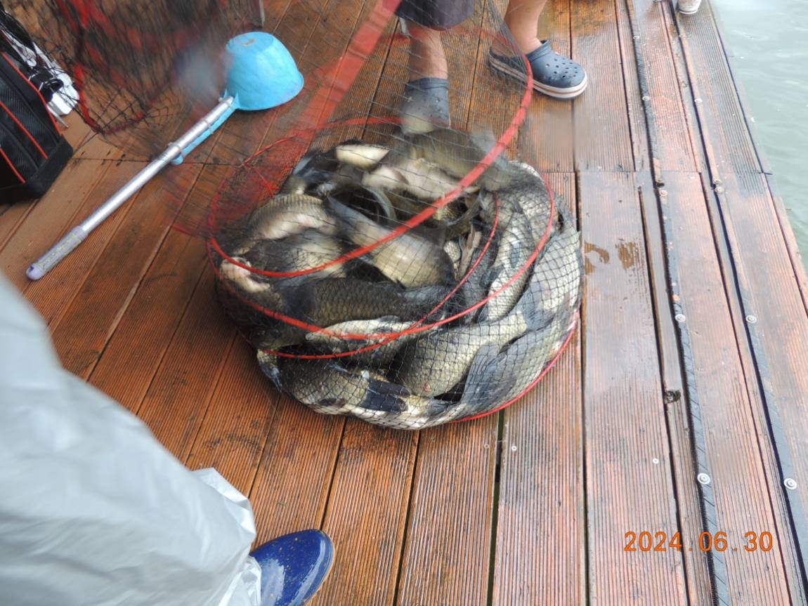 DSCN4790.JPG