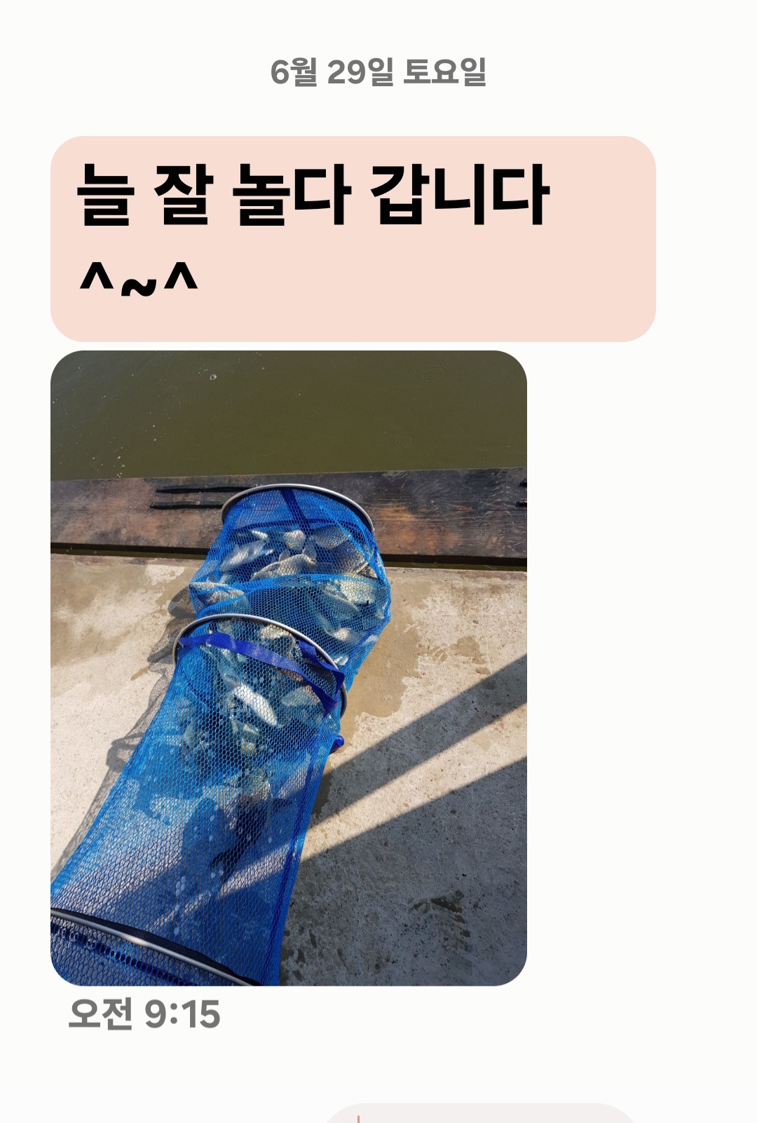 Screenshot_20240629_100630_Messages.jpg