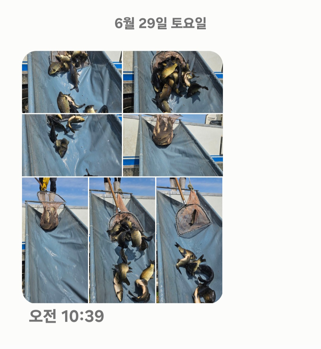 Screenshot_20240629_104001_Messages.jpg