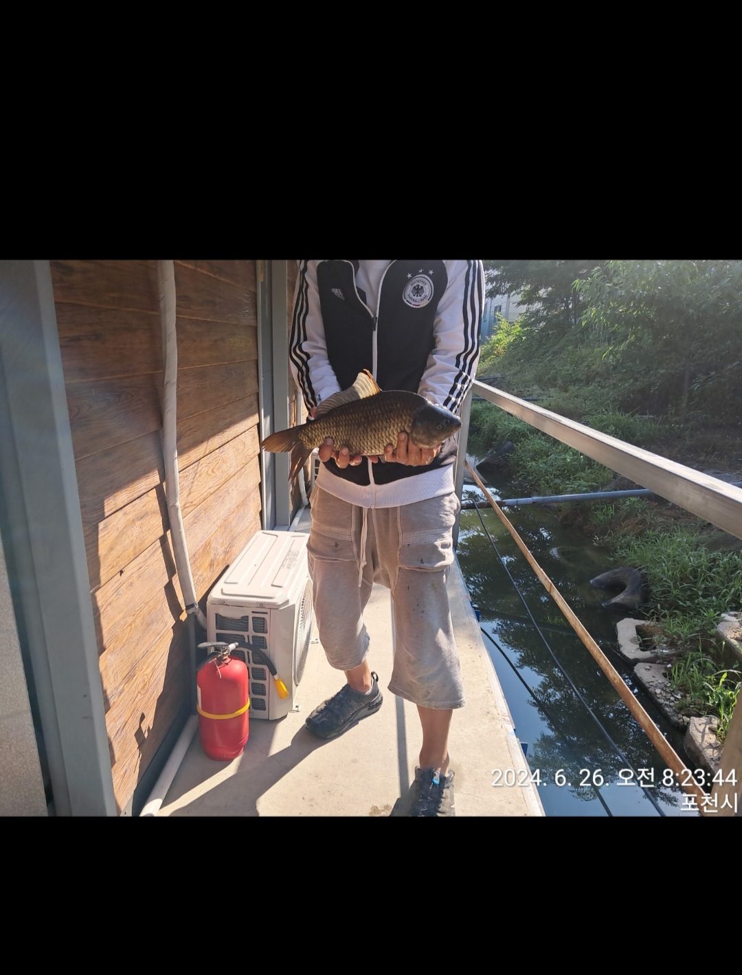 Screenshot_20240630_201838_KakaoTalk.jpg