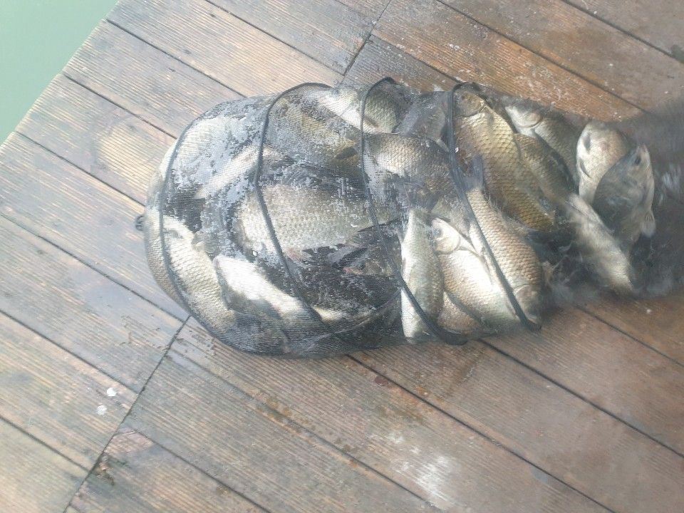 1719874864278.jpg