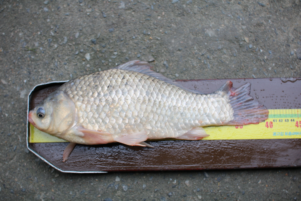 [ũ⺯ȯ]IMG_4653.JPG