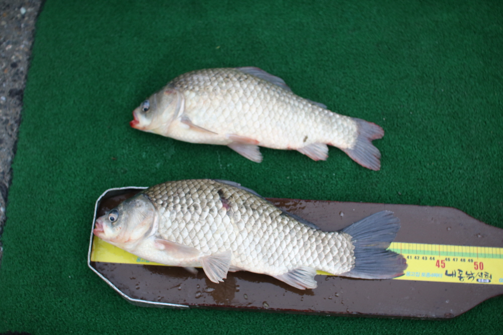 [ũ⺯ȯ]IMG_4711.JPG