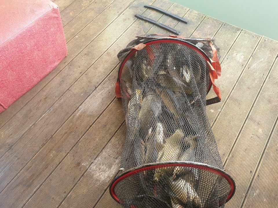 1720045718334.jpg