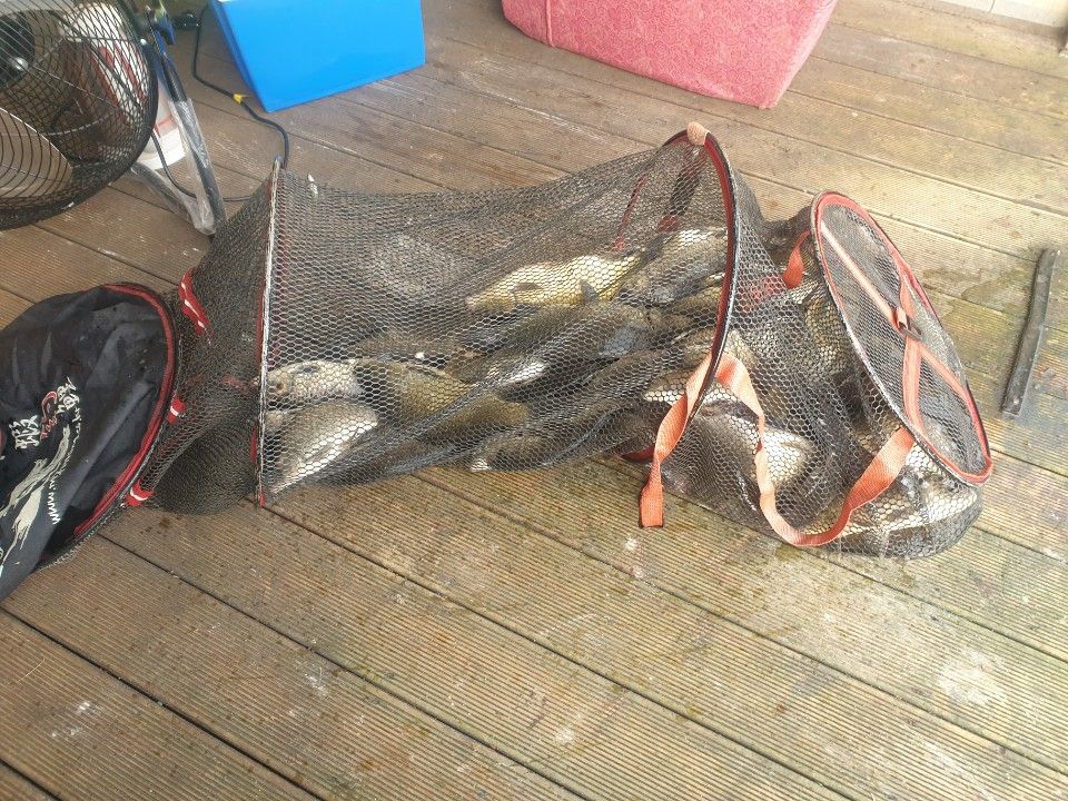 1720045718252.jpg