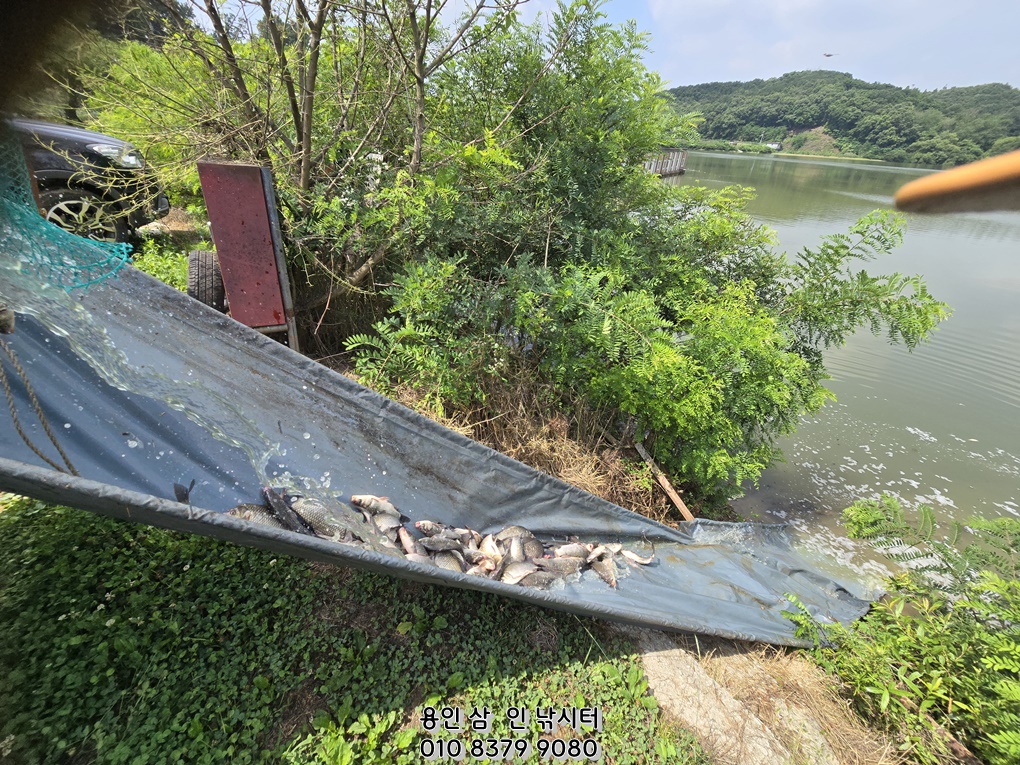 1720057337916.jpg