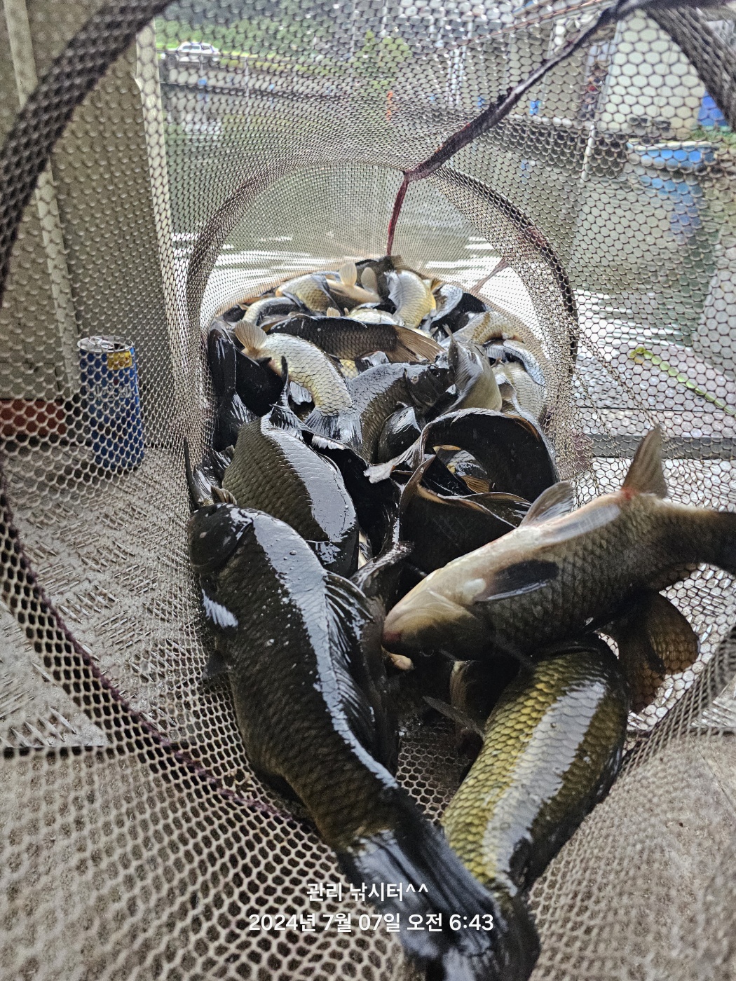 KakaoTalk_20240707_193355194.jpg