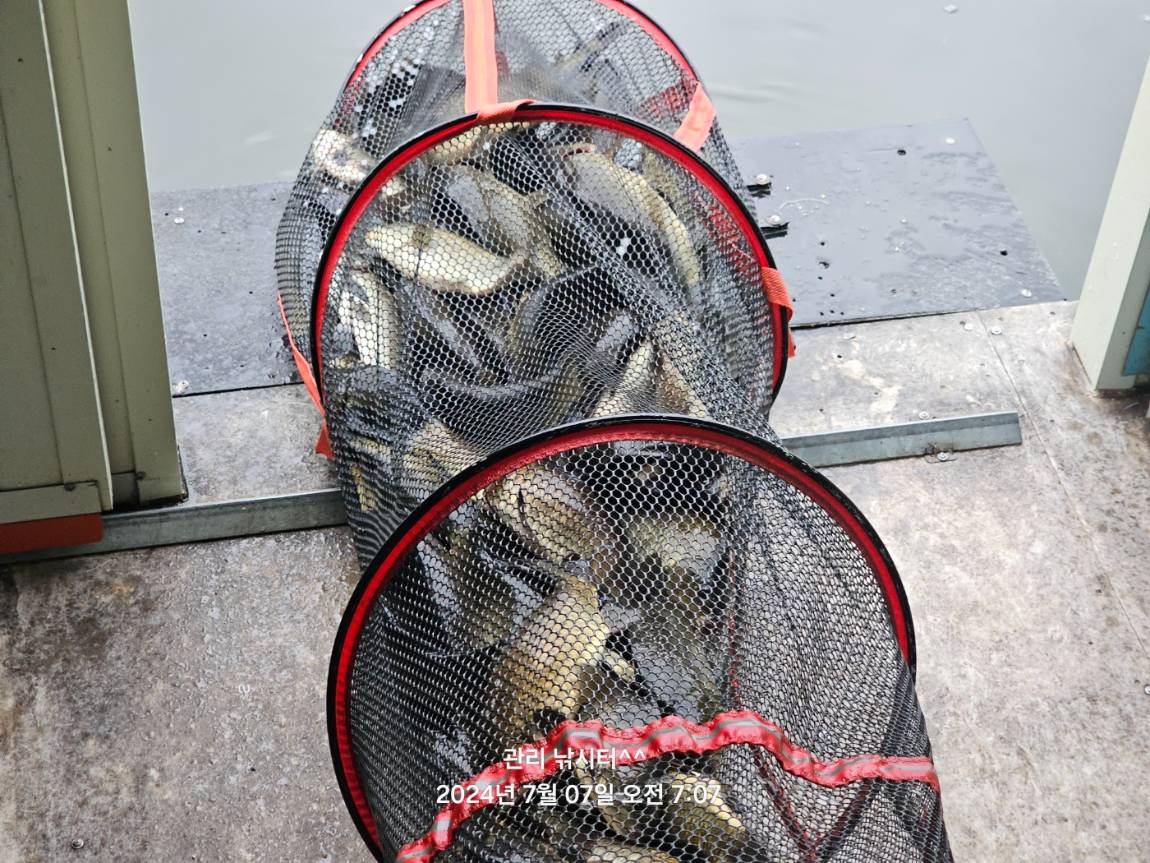KakaoTalk_20240707_193311841_26.jpg