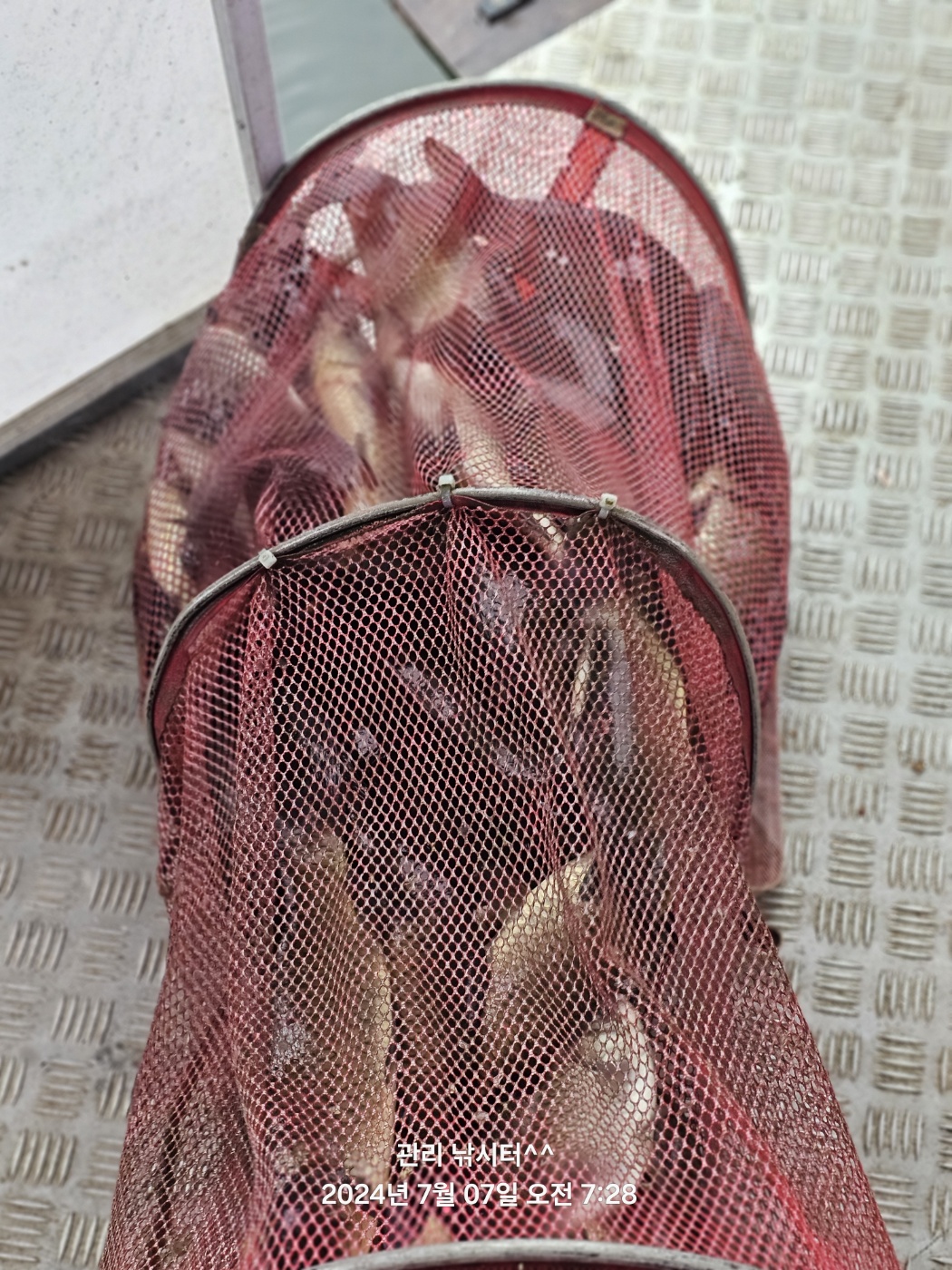 KakaoTalk_20240707_193311841_20.jpg