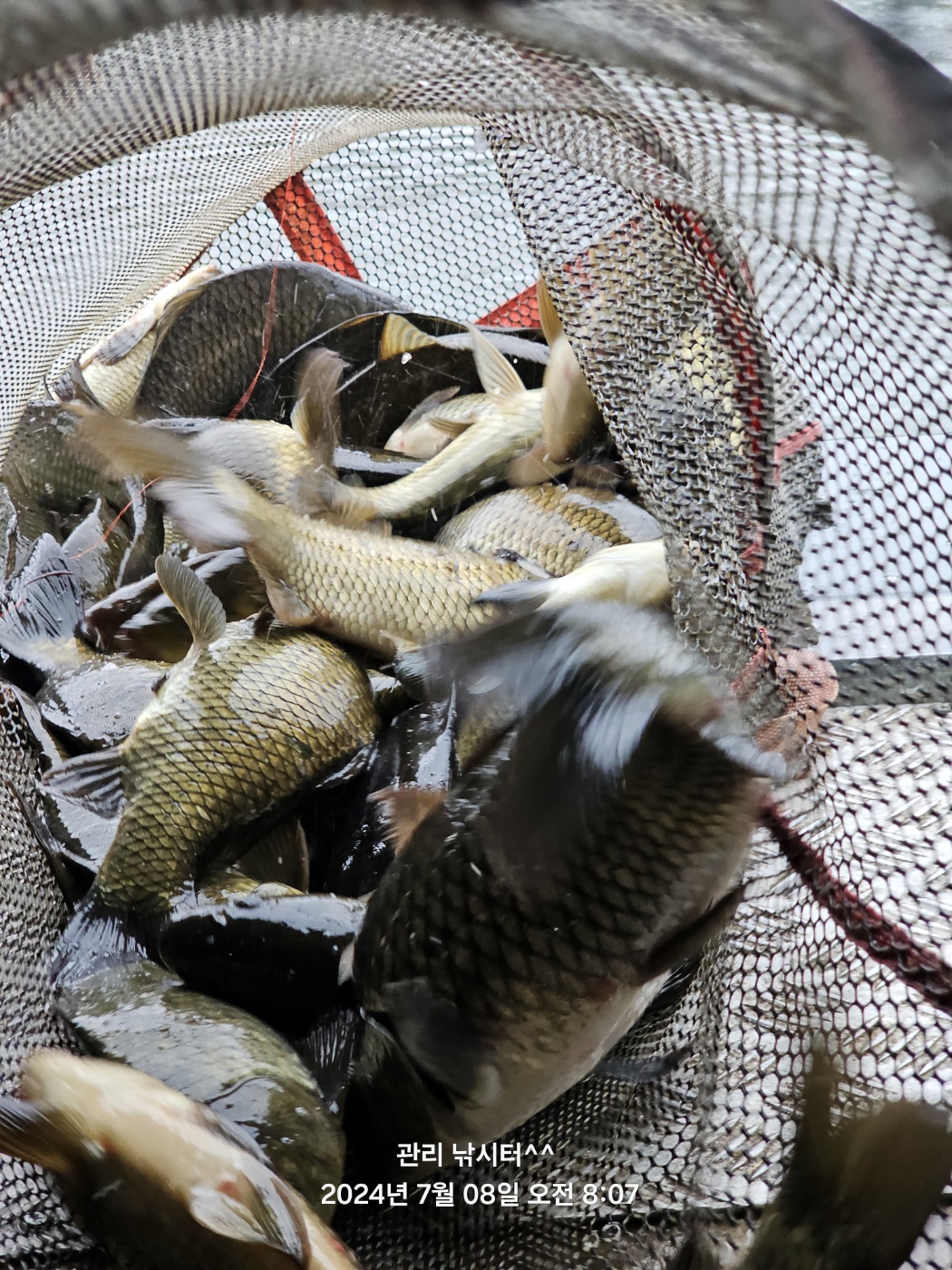 KakaoTalk_20240708_200253616_01.jpg