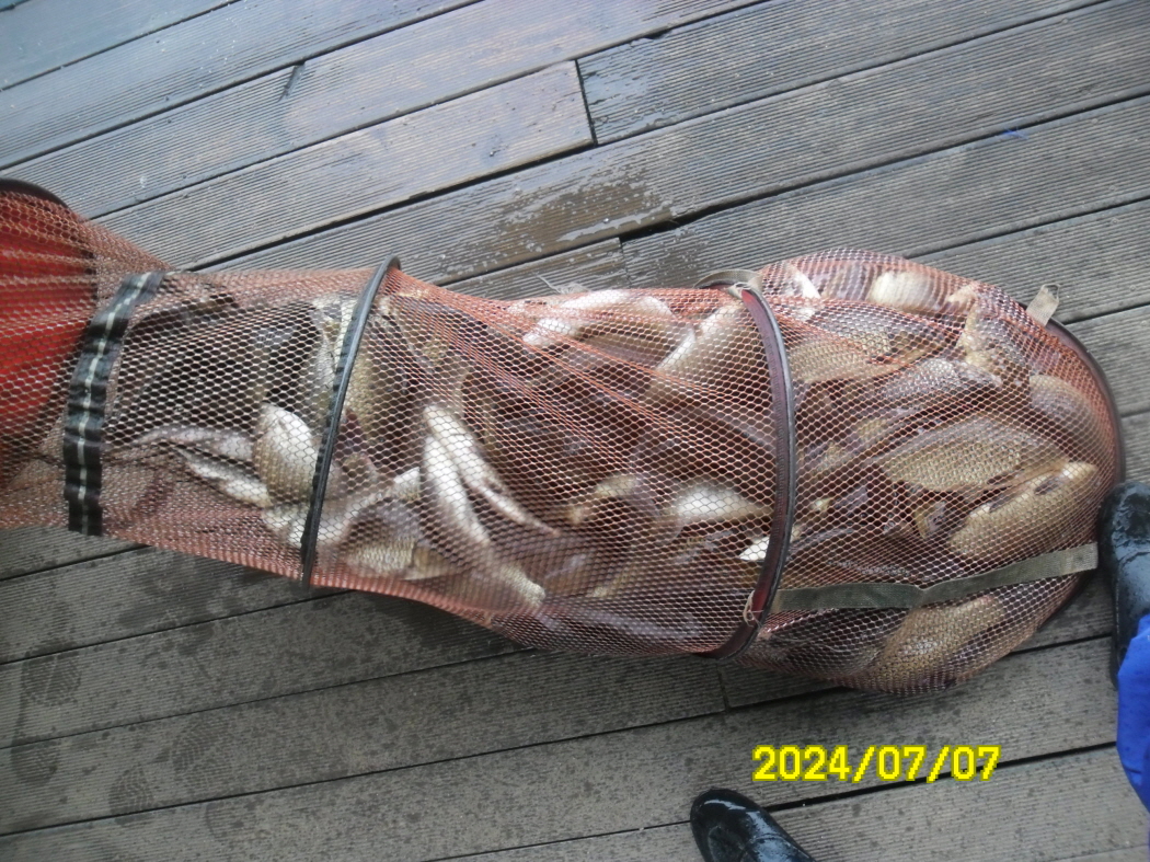 SAM_6522.JPG