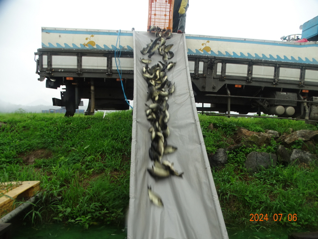 DSC03558.JPG