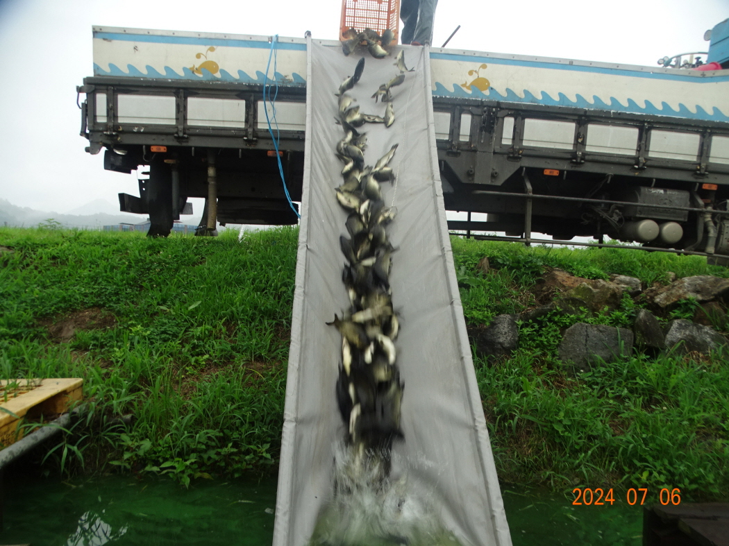DSC03562.JPG