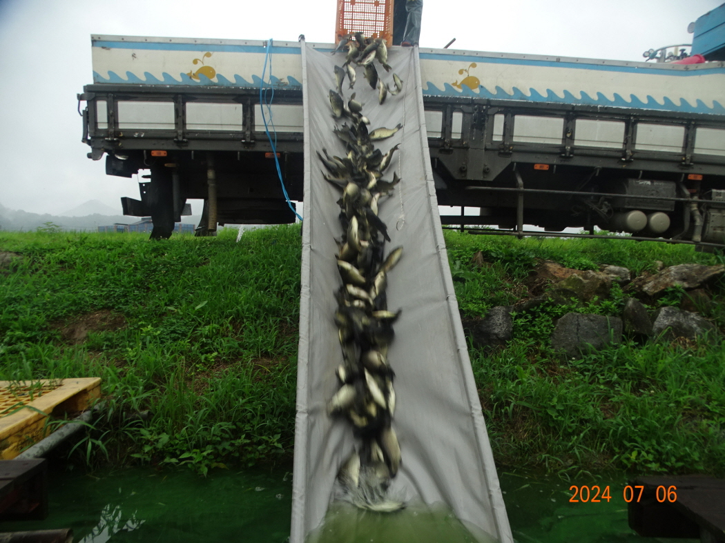 DSC03564.JPG