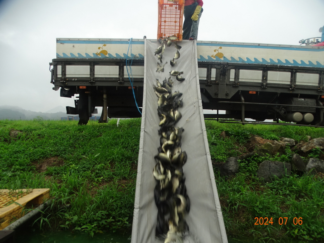 DSC03566.JPG