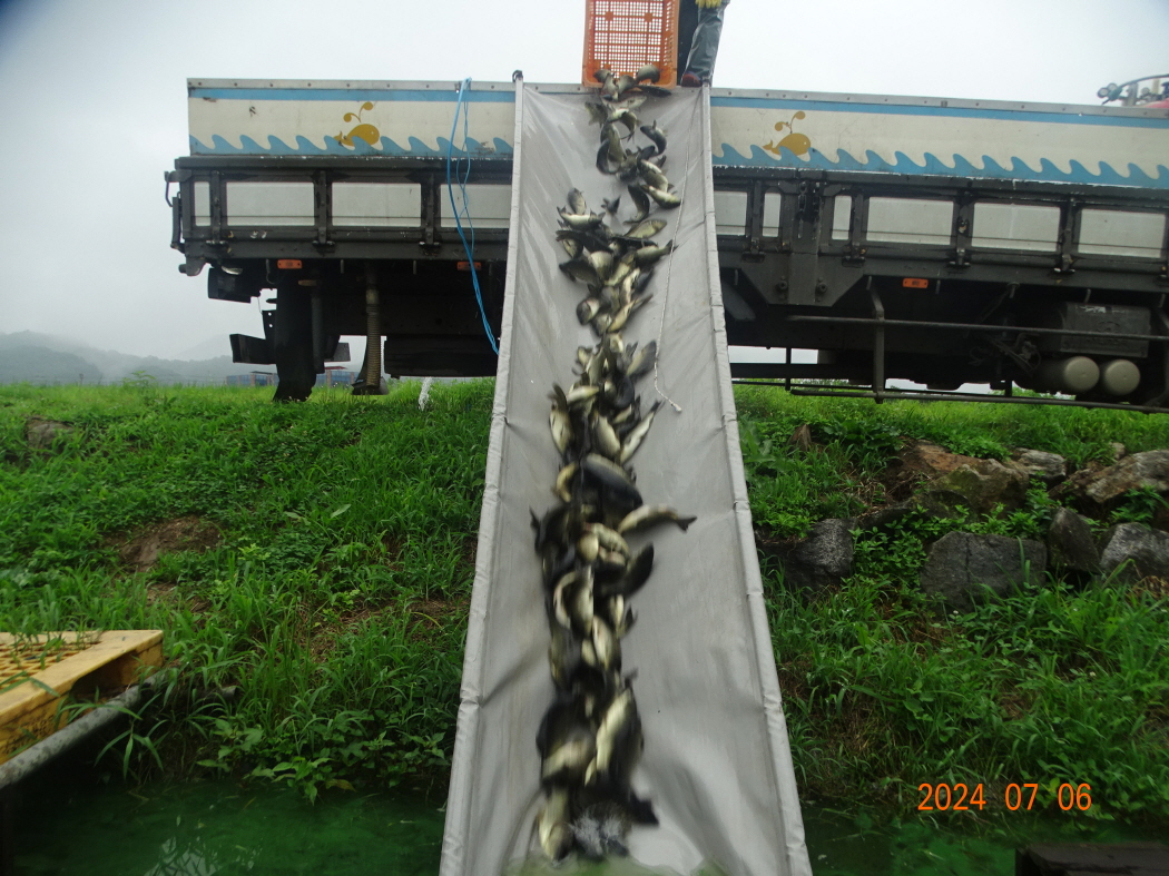 DSC03567.JPG