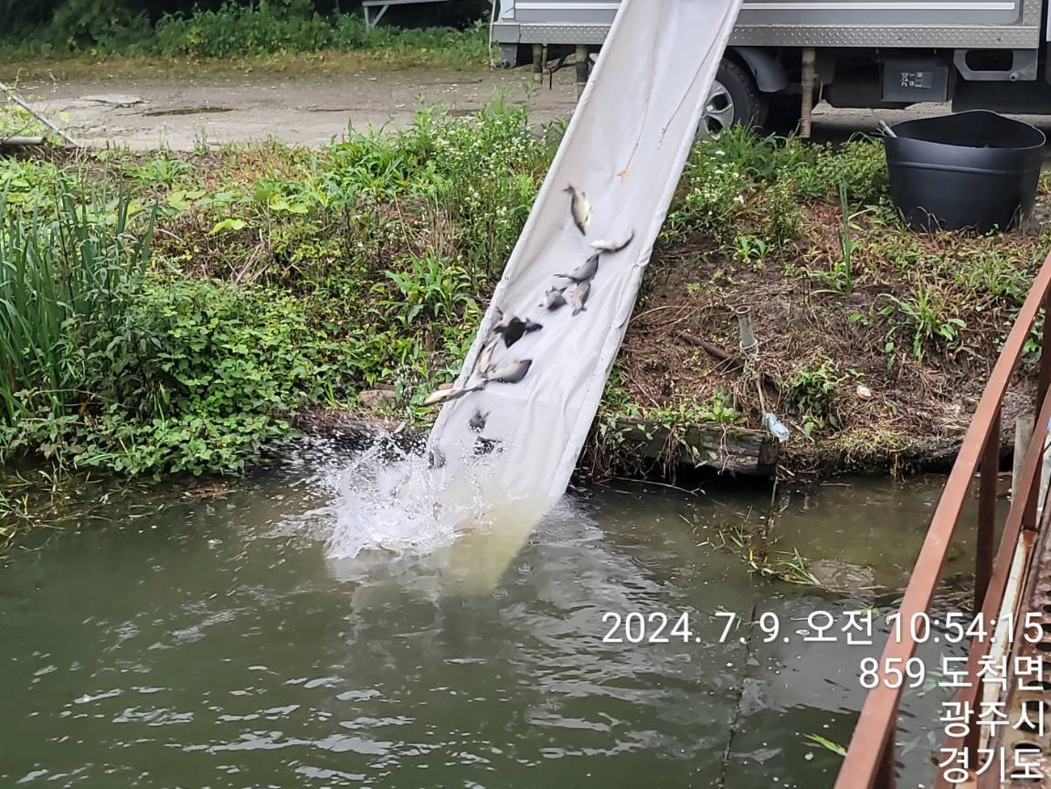 KakaoTalk_20240709_105519771_05.jpg
