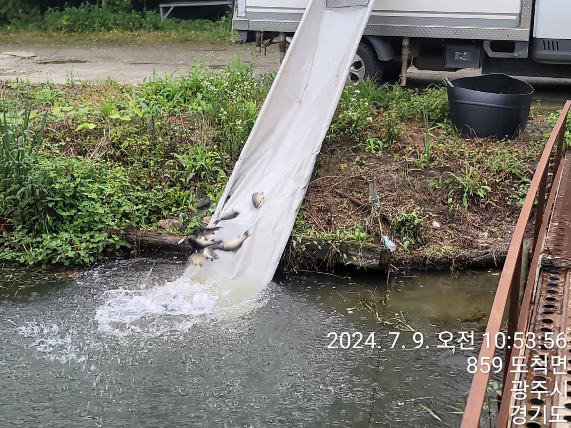 KakaoTalk_20240709_105519771_09.jpg
