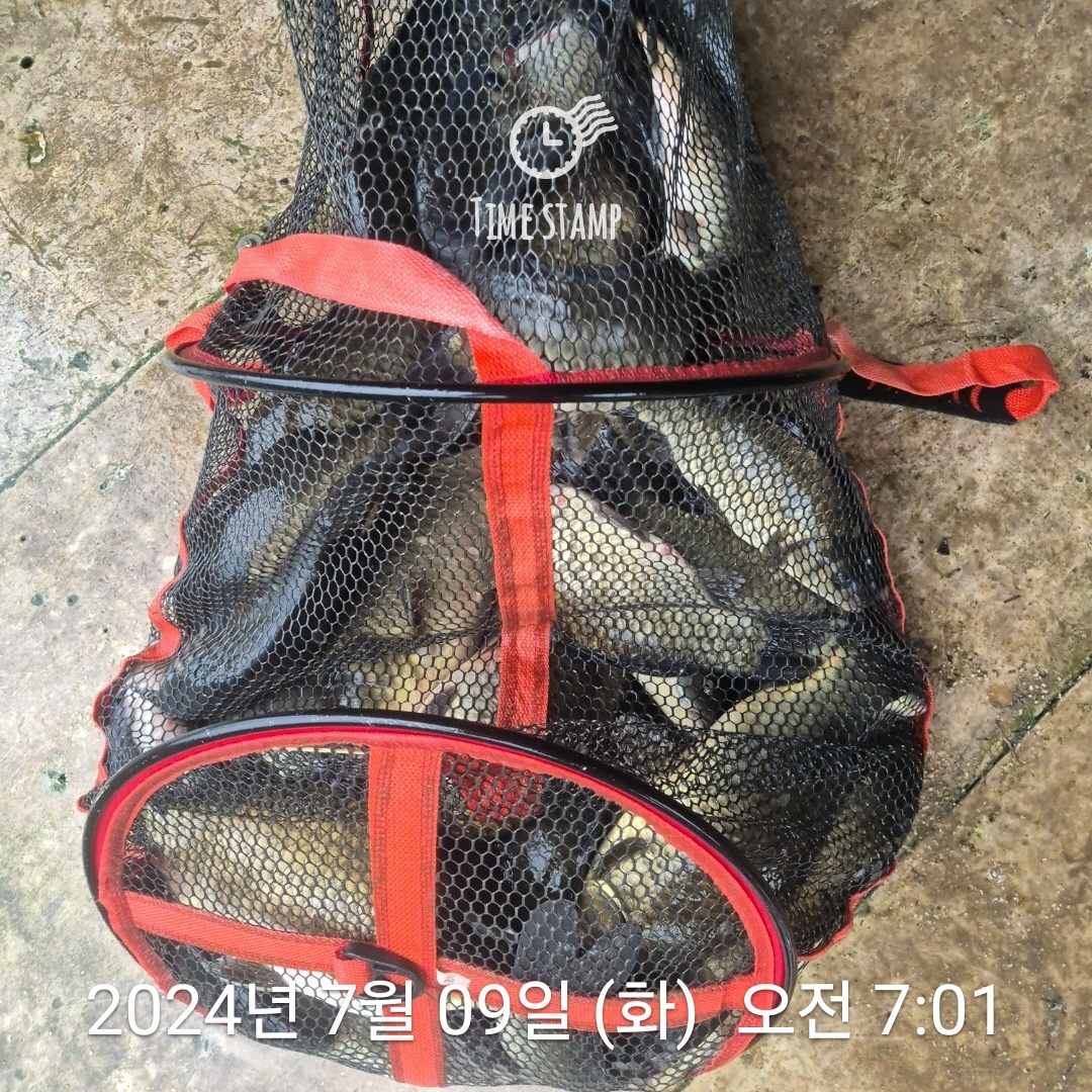 1720481134530.jpg