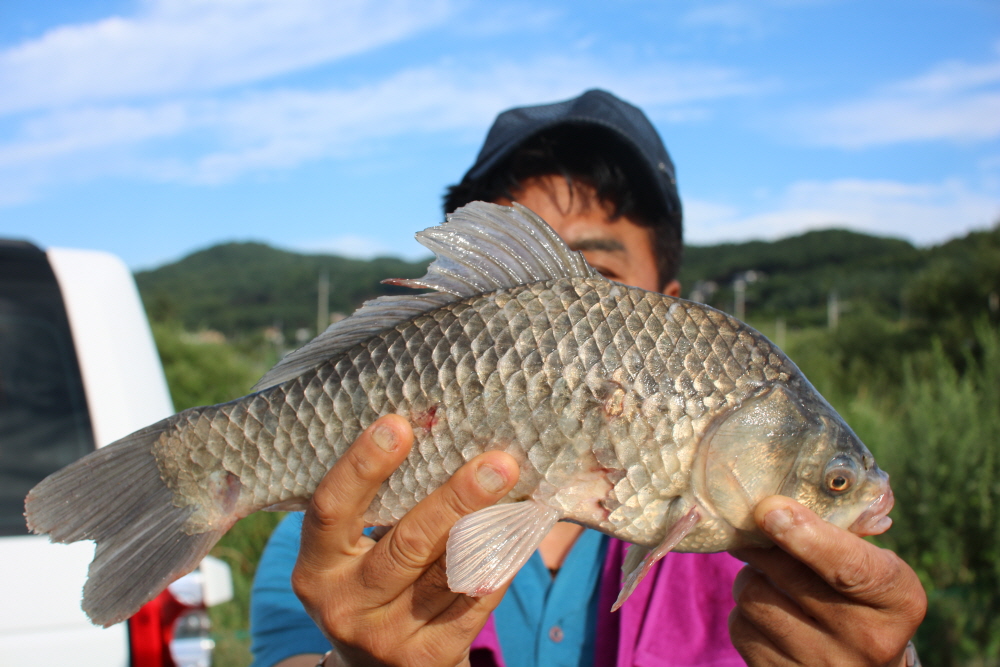 [크기변환]IMG_4933.JPG