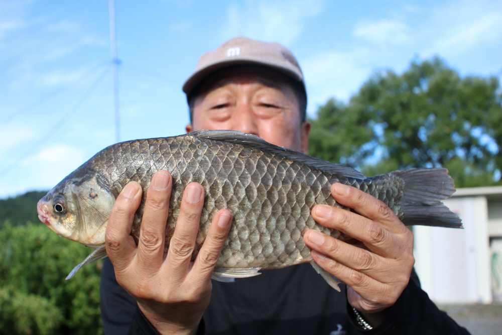 [크기변환]IMG_4940.JPG