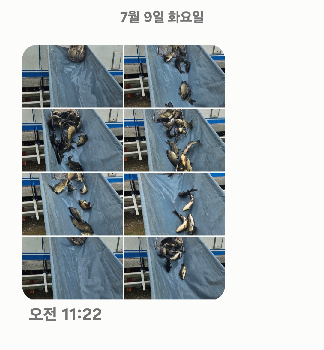 Screenshot_20240709_112316_Messages.jpg