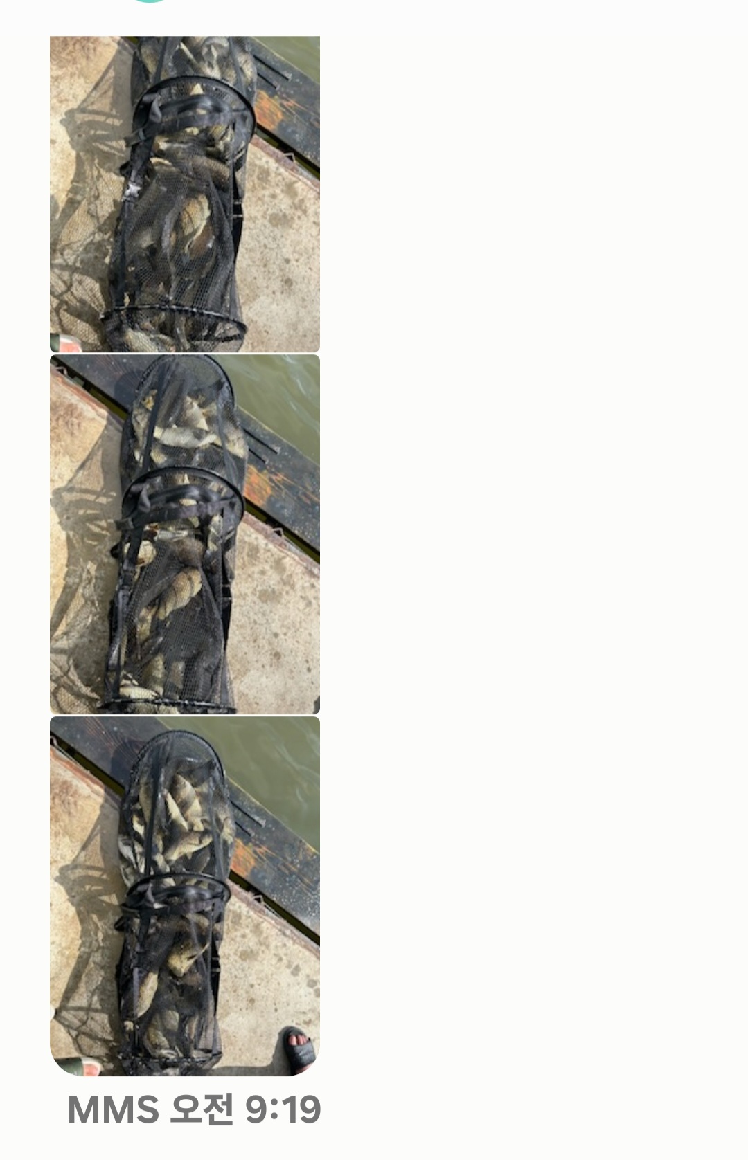Screenshot_20240710_092003_Messages.jpg