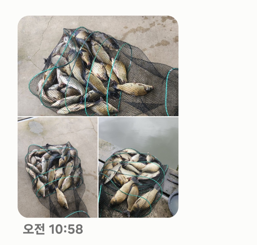Screenshot_20240710_112149_Messages.jpg