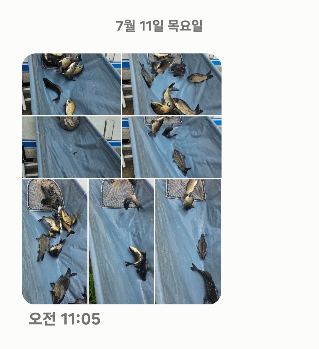 Screenshot_20240711_112656_Messages.jpg
