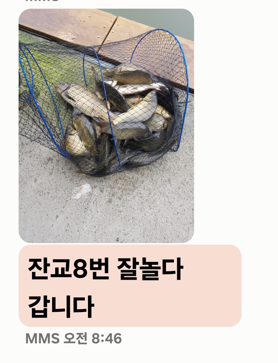 Screenshot_20240712_090151_Messages.jpg
