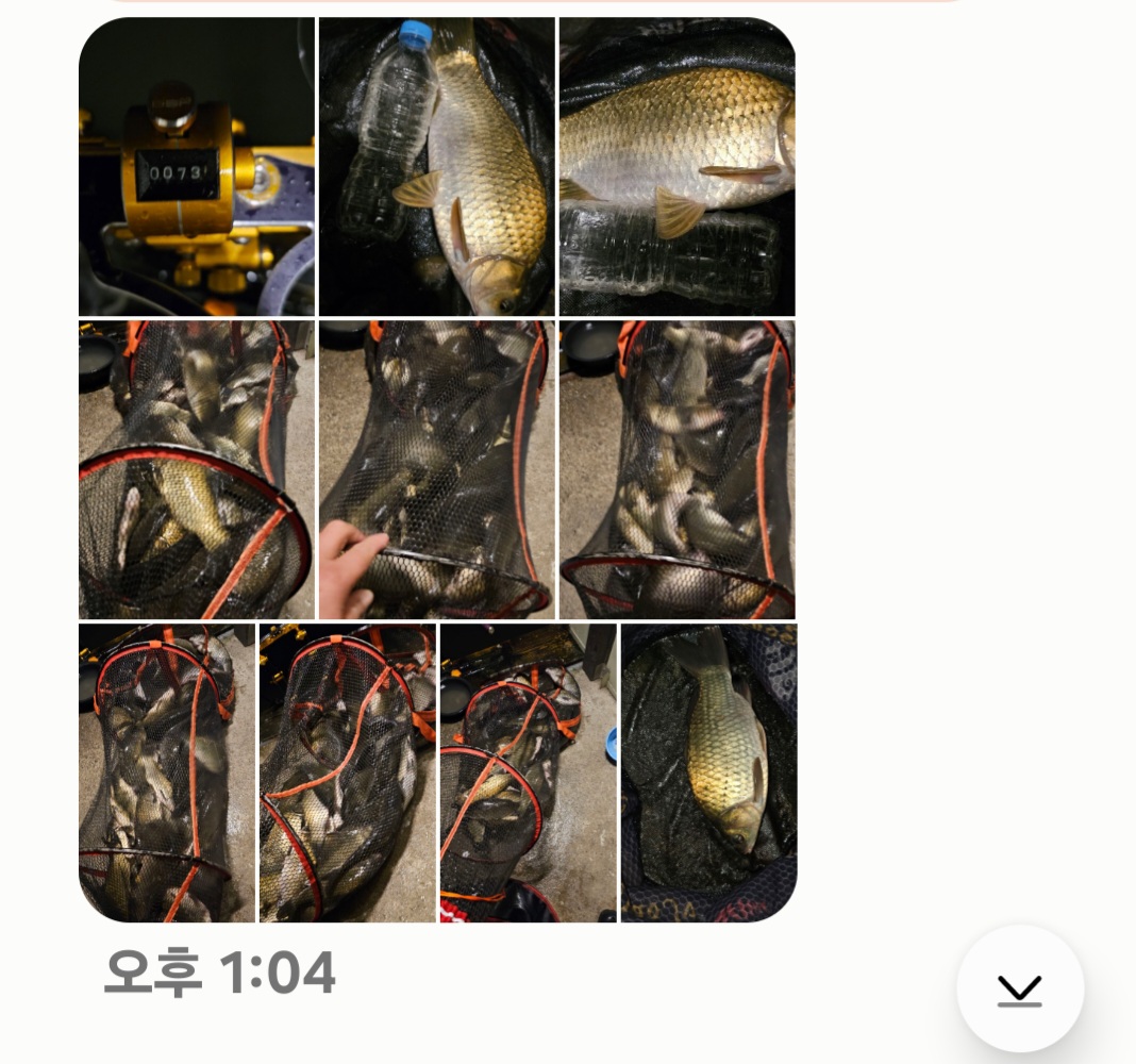 Screenshot_20240712_130627_Messages.jpg
