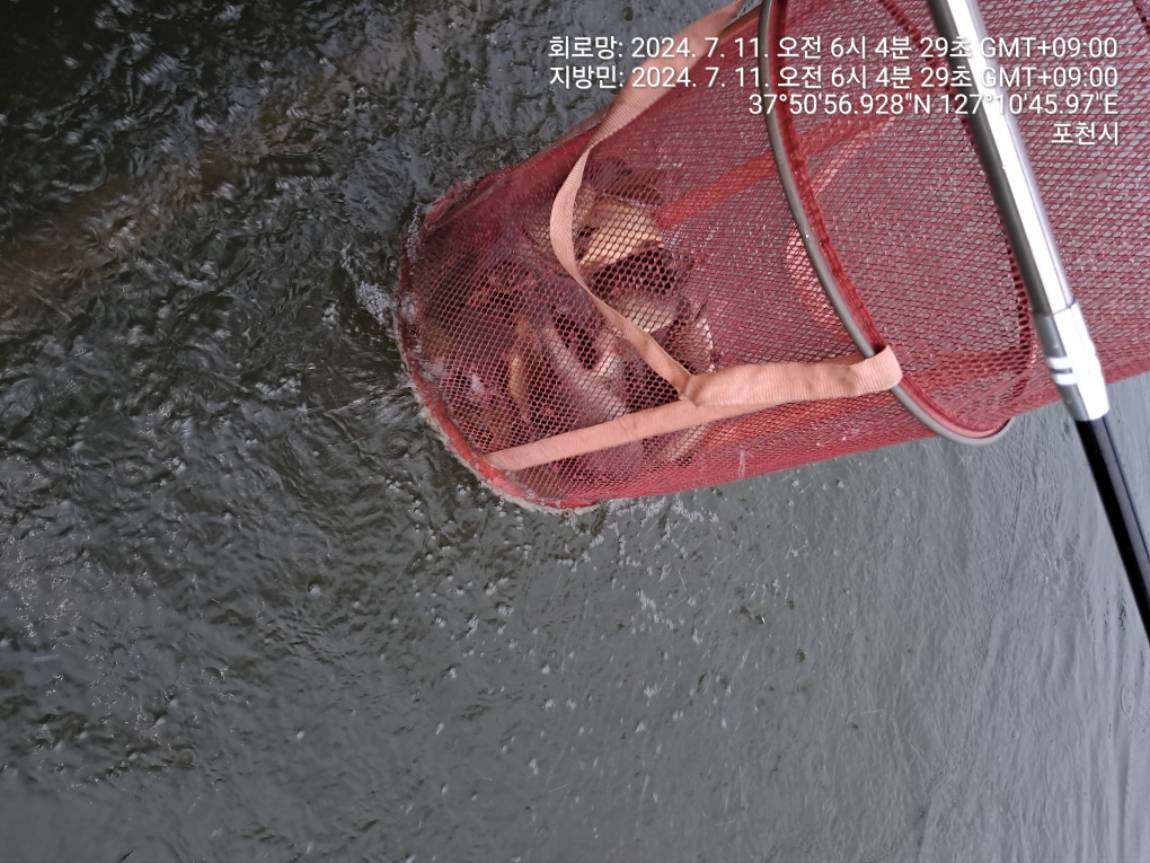TimePhoto_20240711_060429.jpg