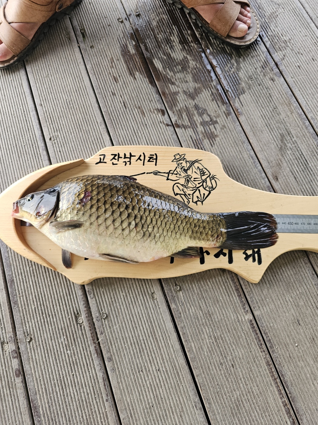 KakaoTalk_20240712_225845548.jpg