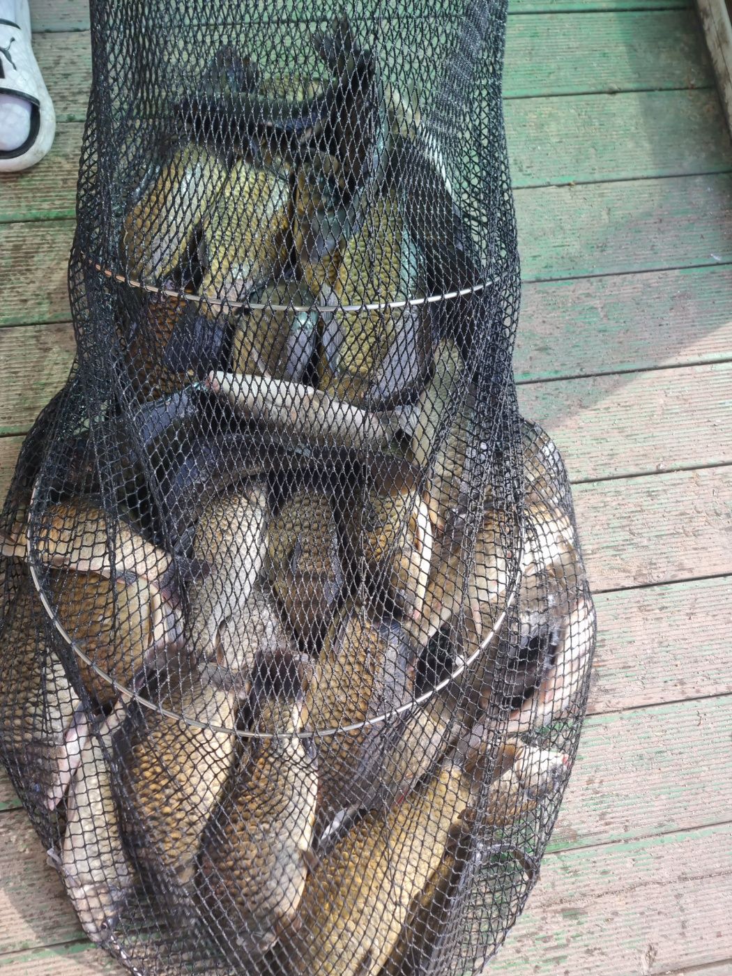 1720917181126.jpg