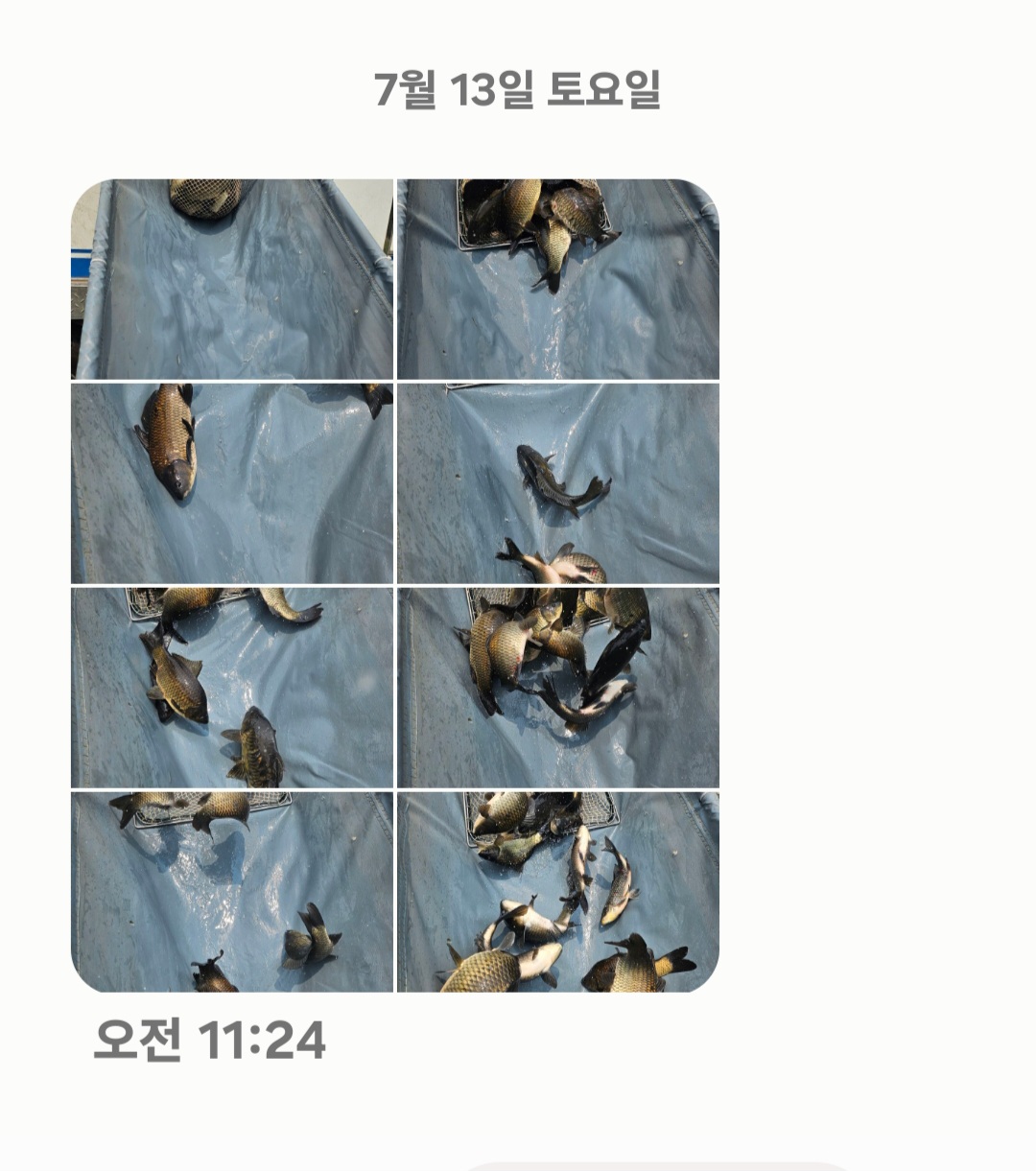 Screenshot_20240713_122422_Messages.jpg