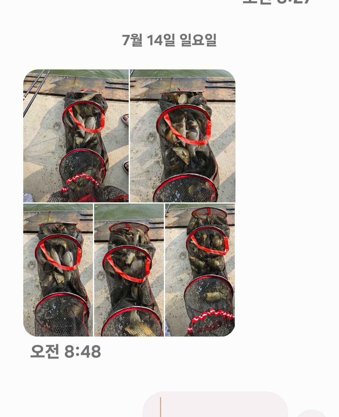 Screenshot_20240714_085017_Messages.jpg