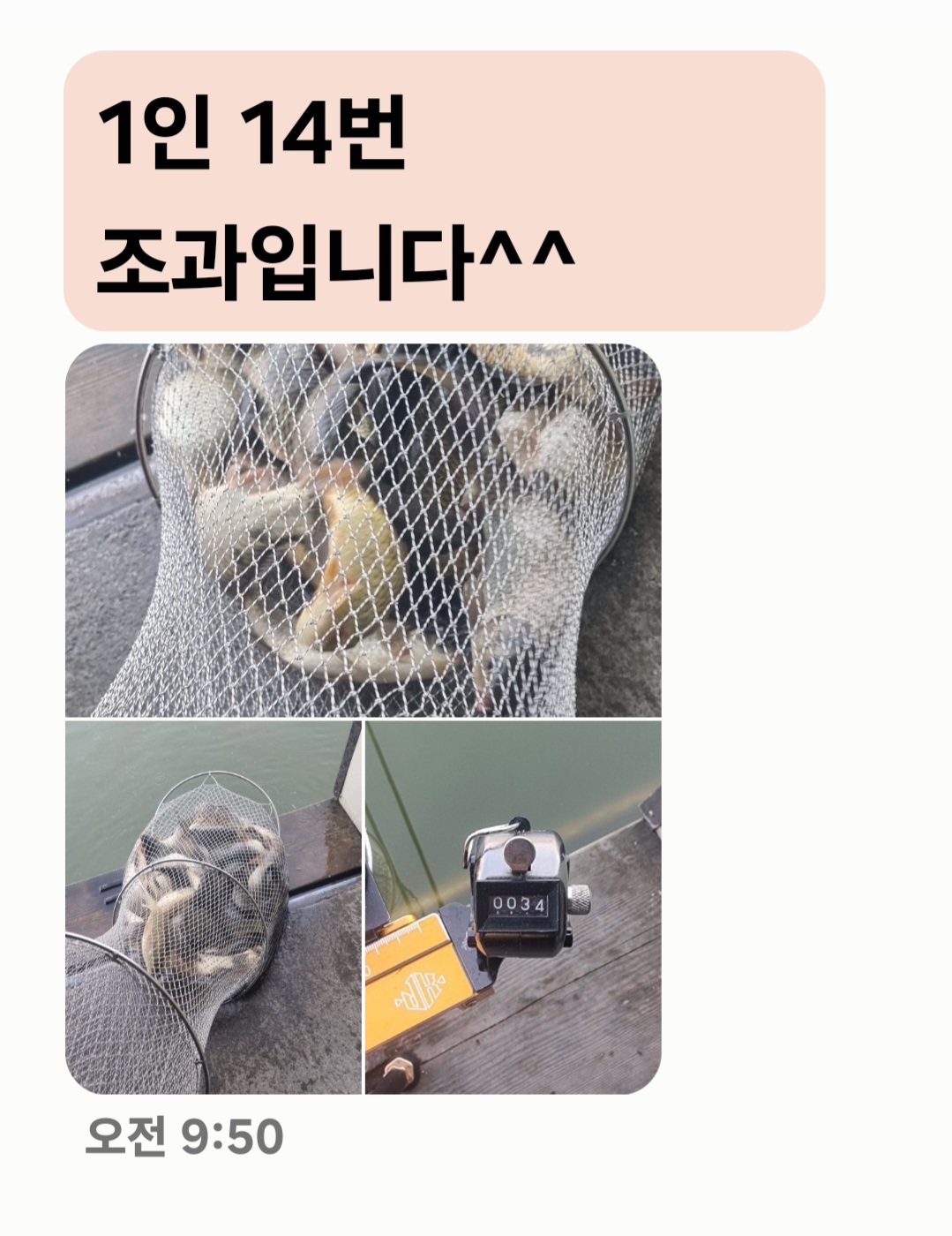 Screenshot_20240715_121216_Messages.jpg