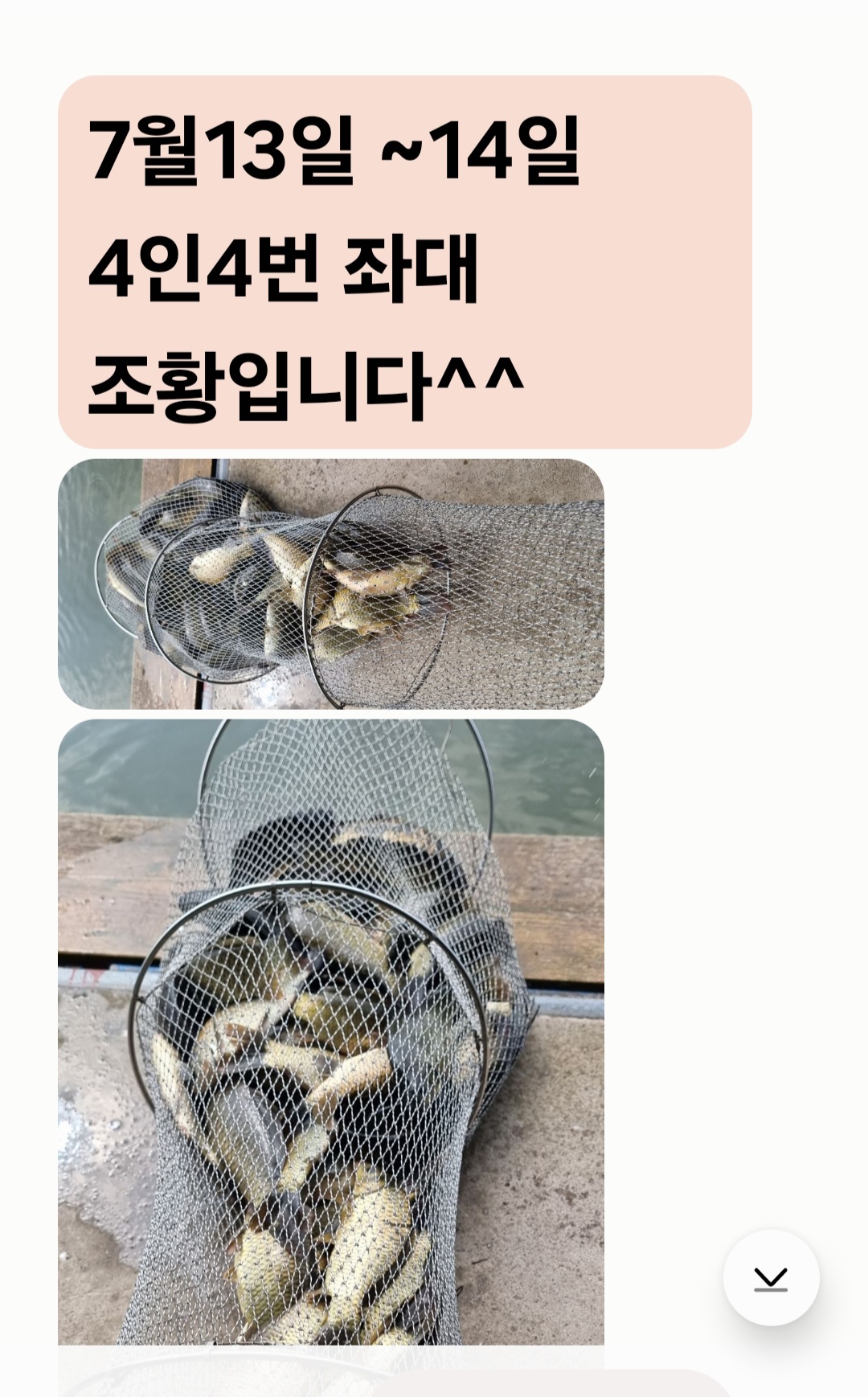 Screenshot_20240715_121239_Messages.jpg