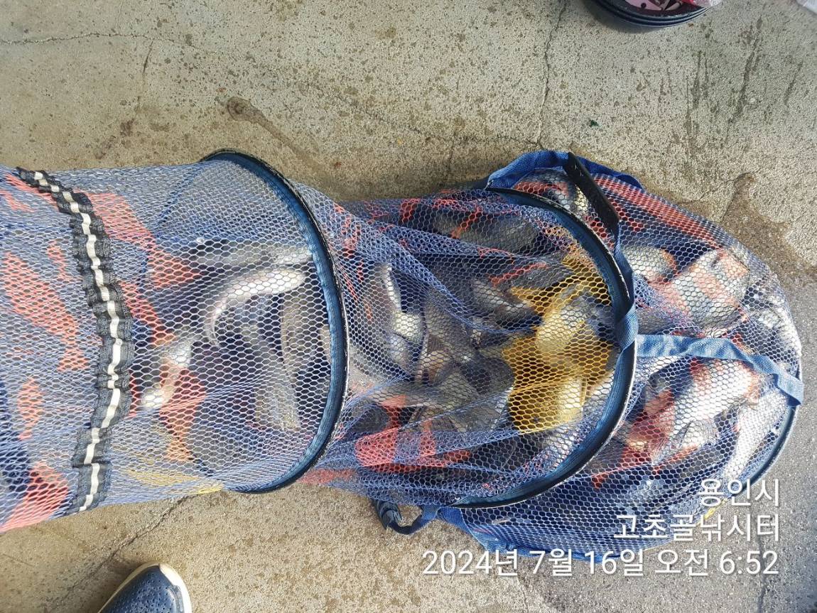 1721093936376.jpg
