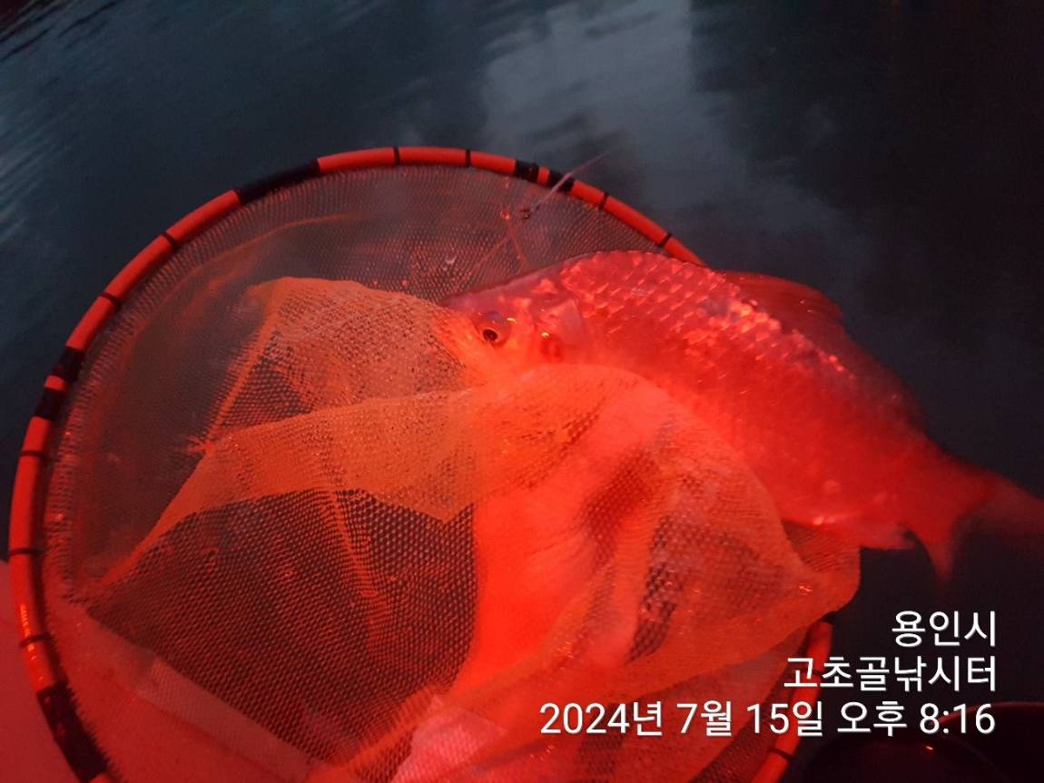1721093934093.jpg
