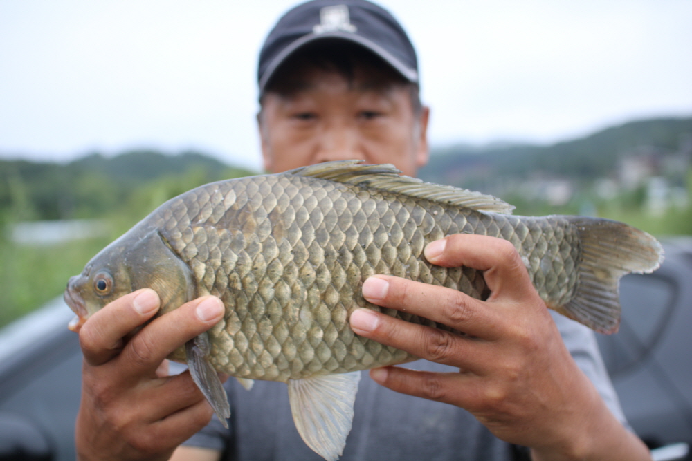 [크기변환]IMG_5229.JPG