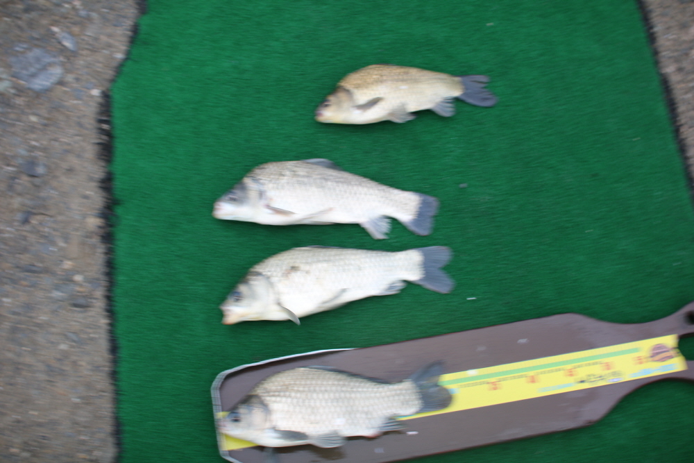[크기변환]IMG_5239.JPG