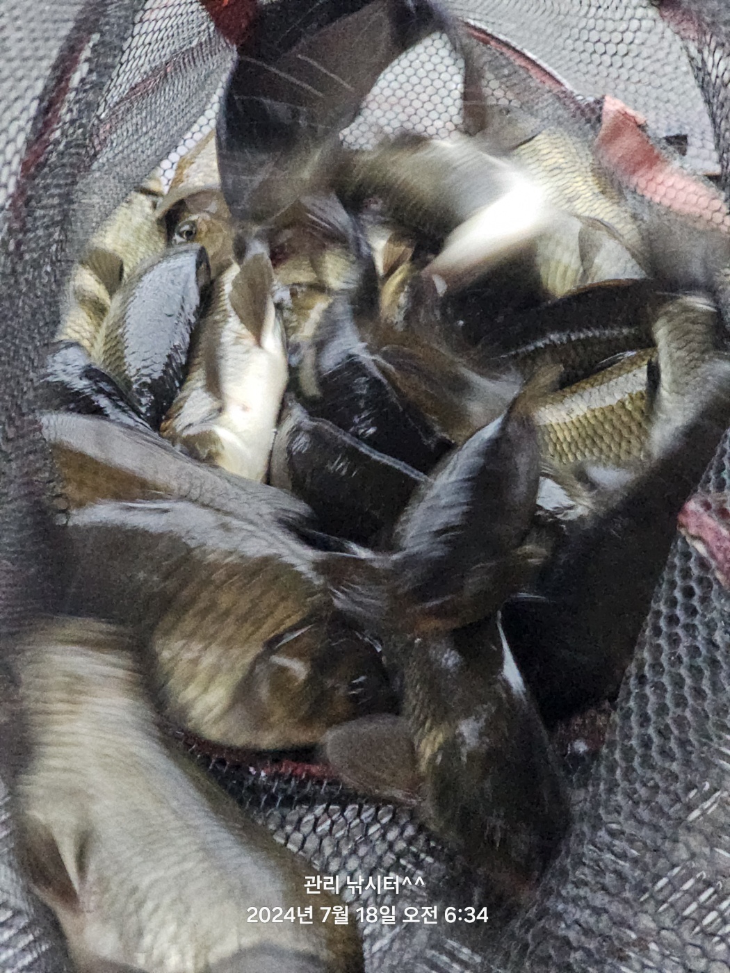 KakaoTalk_20240718_202154693_05.jpg