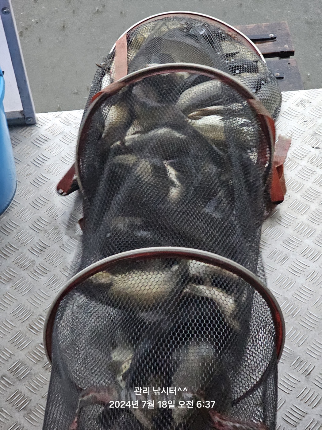 KakaoTalk_20240718_202154693_01.jpg